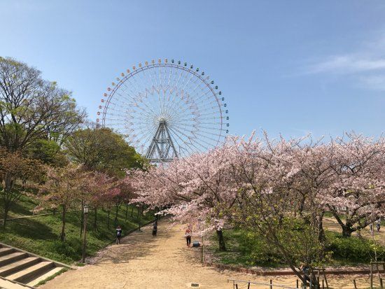 Tempozan Giant Ferris Wheel